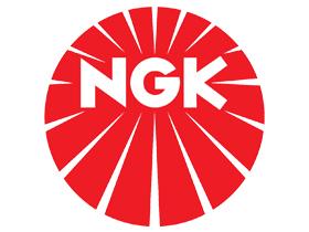 NGK 90481